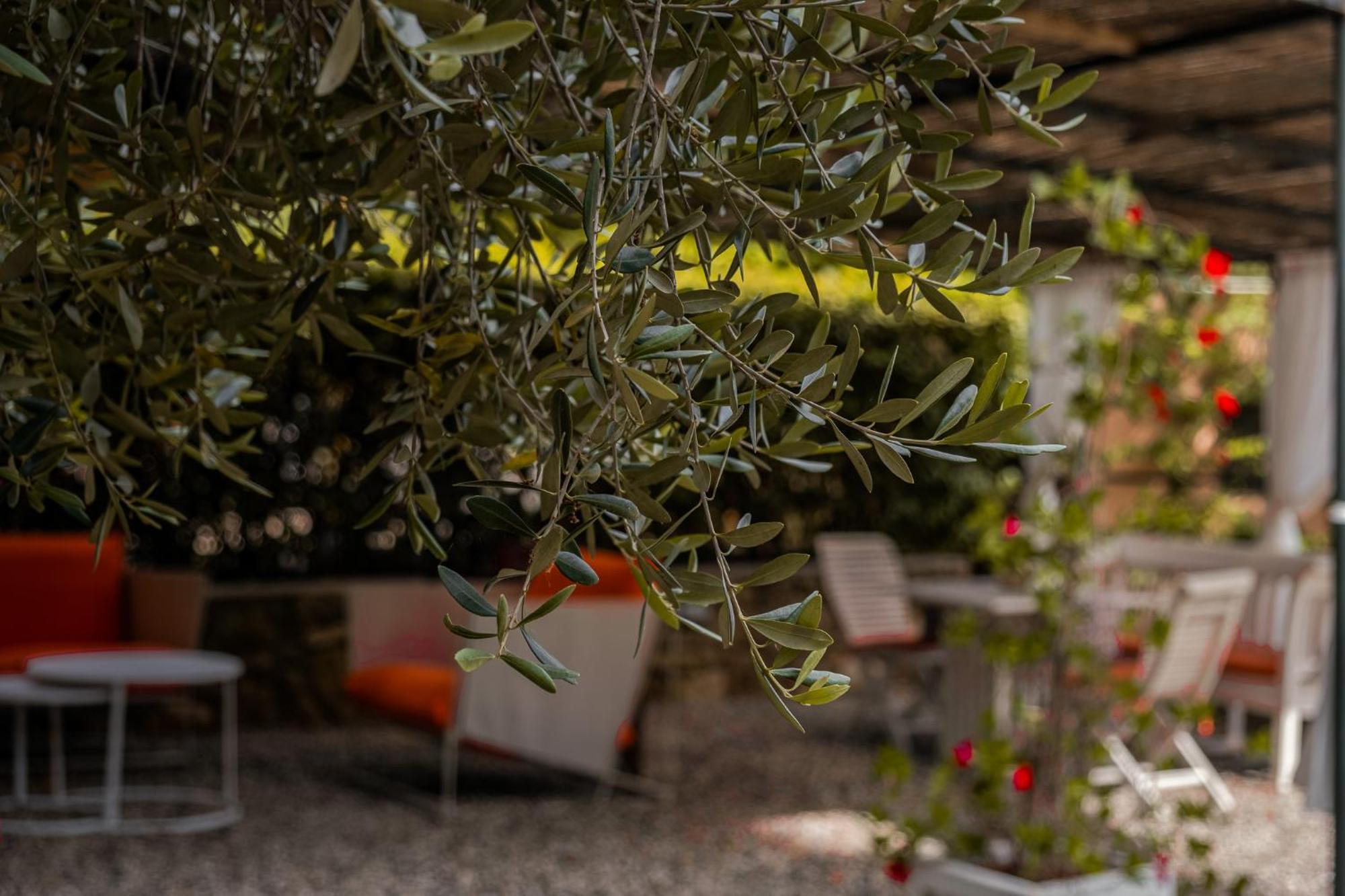 Monolocale Casenuove Con Giardino Holiday home *